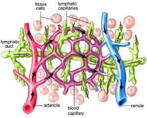 Lung Cancer Brain Metastases - Causes, Symptoms, Life Expectancy, Treatment